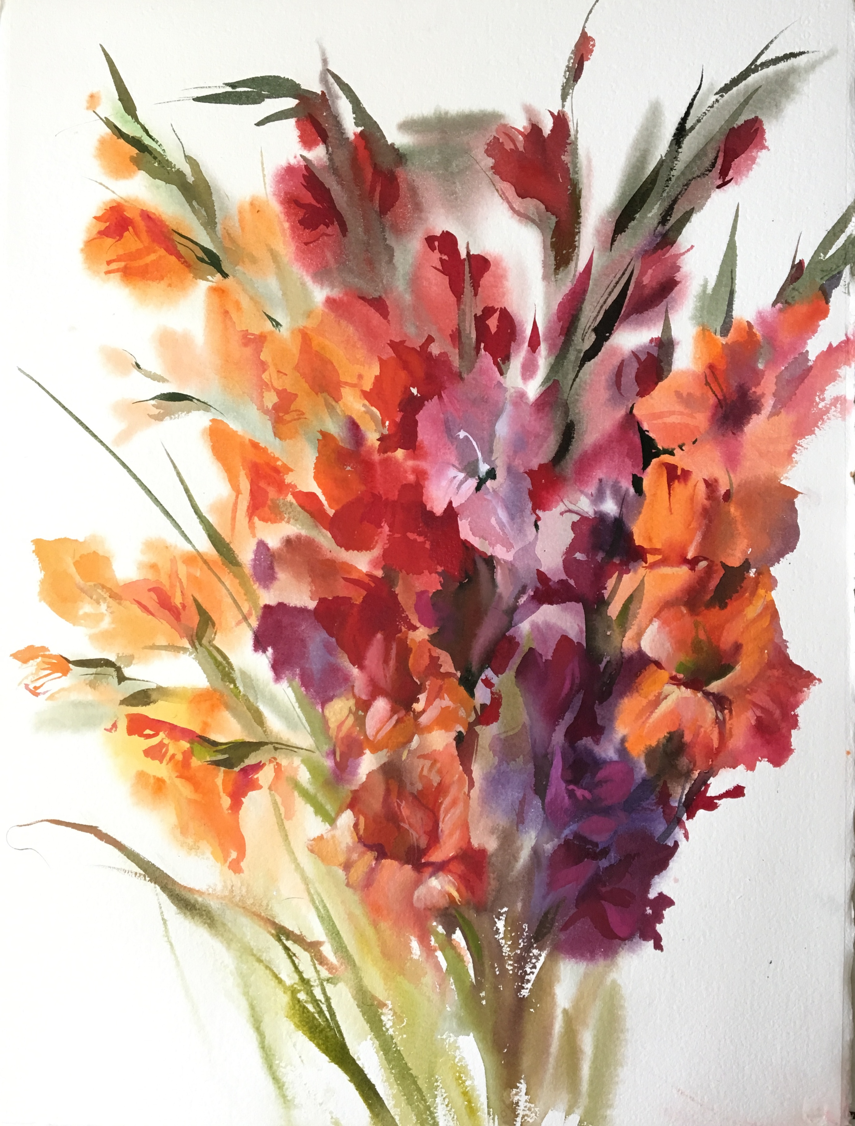 Multicolored gladioluses